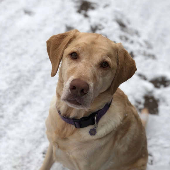 Meet your Posher, Moon177 - Picture 1 of 1